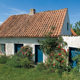Ingmar-Bergman-Estate4-Faro-Island.jpg