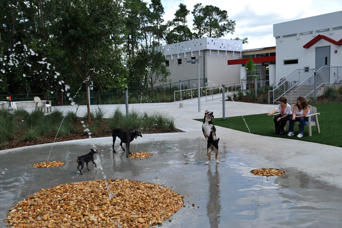 Disney Opens 'Luxury Pet Resort' in Orlando - WORLD PROPERTY JOURNAL ...